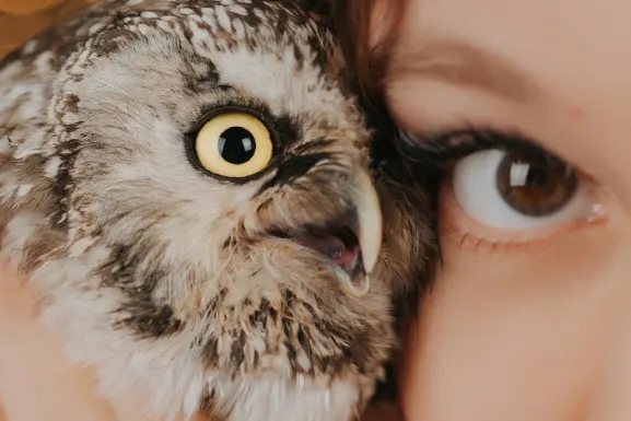 PlayHub Casino Stuðningur